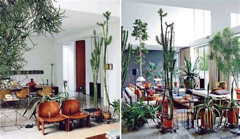 10 Wonderful Rooms With Urban Jungle Home Design And Interior Indoor