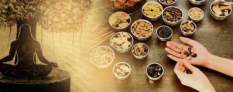 authentic ayurveda ayurvedic medicines vedi herbals hempcann solutions pvt ltd