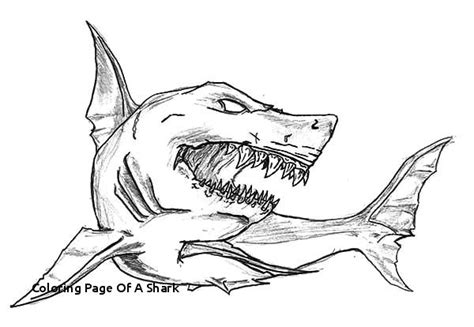 Zombie Shark Coloring Pages Let S Coloring The World