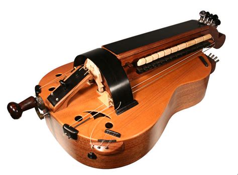 What Next Hurdy Gurdy Photos Instruments By Hgc