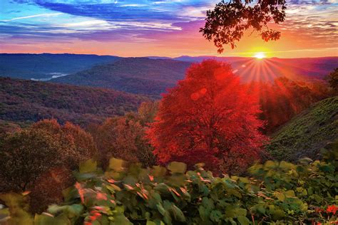 Colorful Autumn Sunrise At Artist Point Arkansas Boston Mountains