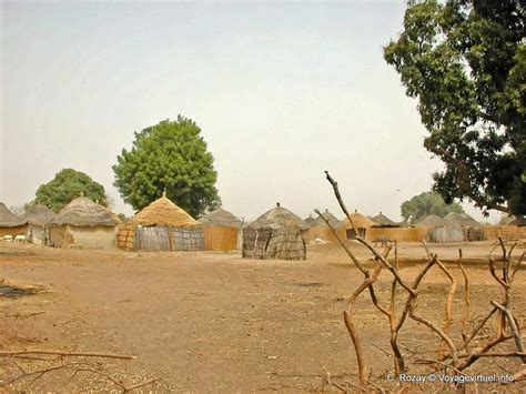 Village In The Bush Senegal