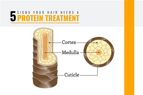 5 Vital Signs Your Hair Needs A Protein Treatment Gk Hair Uk