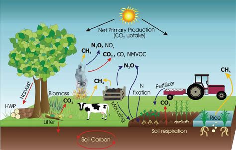 The Main On Farm Agricultural Greenhouse Gas Emission Sources Removals