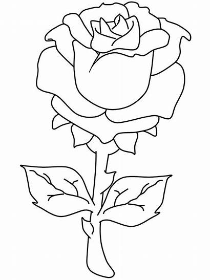Valentines Coloring Pages Rose Printable Valentine Roses