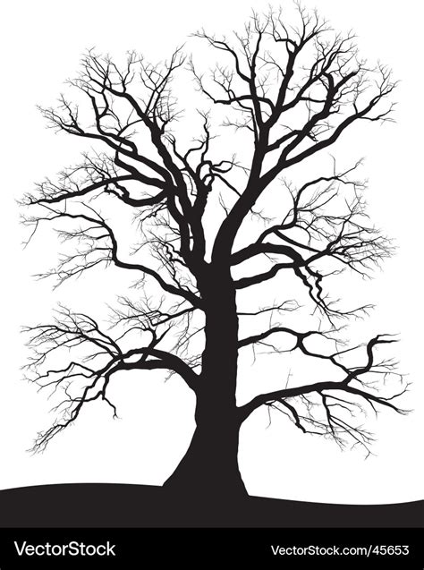 Tree Oak Silhouette Royalty Free Vector Image Vectorstock