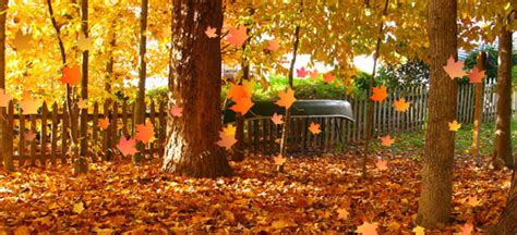 Seasonal Landscaping Care In Victor Ny John Welch