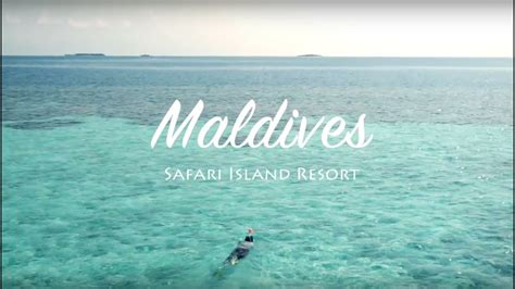 Maldives Safari Island Resort Diving With Turtle Shark Youtube