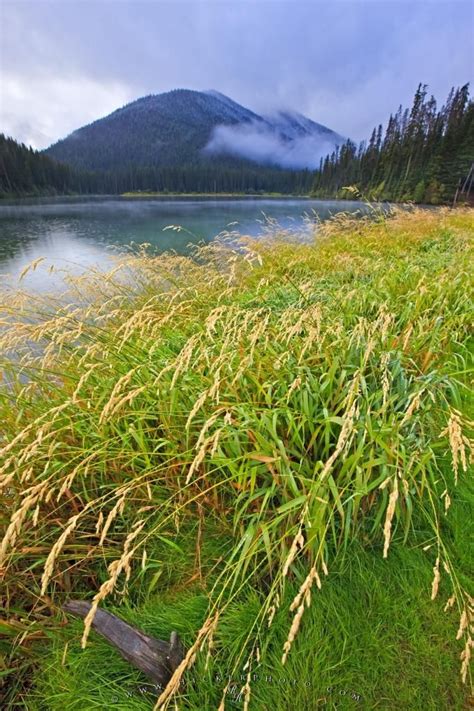 The Scenic Grass Fringed Lightning Lake In Manning Provincial Park