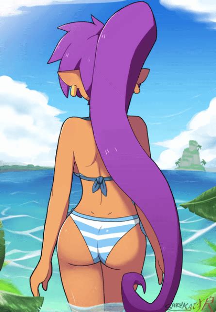 Shantae In Bikini E Nuda Shantae Mighty Flip Champs Photo Fanpop Page