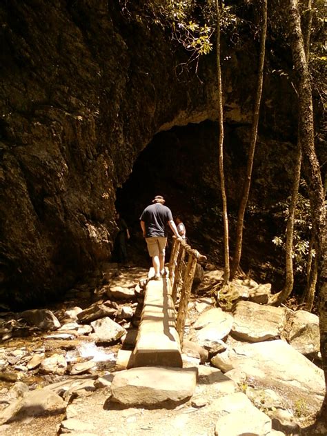 Great Smoky Mountains Alum Cave Bluff Trail Tn Sevierville Gatlinburg