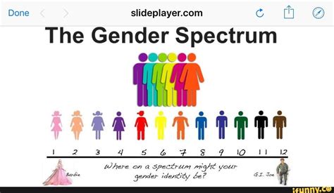 The Gender Spectrum Ifunny