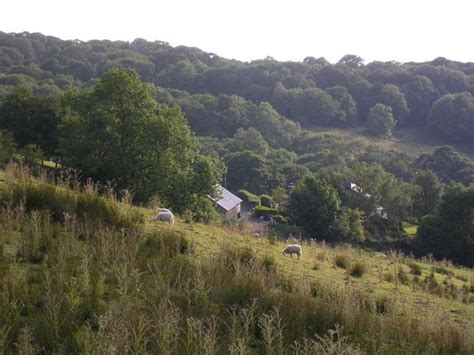 Coed Ffridd H R Gwynedd Area Information Map Walks And More