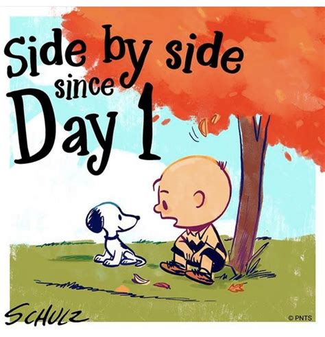 Pin By Ellen Patterson On Peanuts Gang Snoopy Love Charlie Brown And