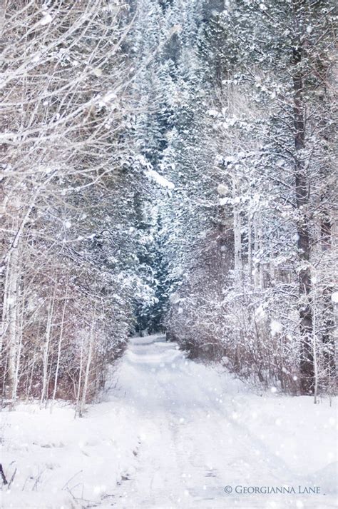 Winter ️~ Wishes And Dreams ️~ Winter Szenen I Love Winter