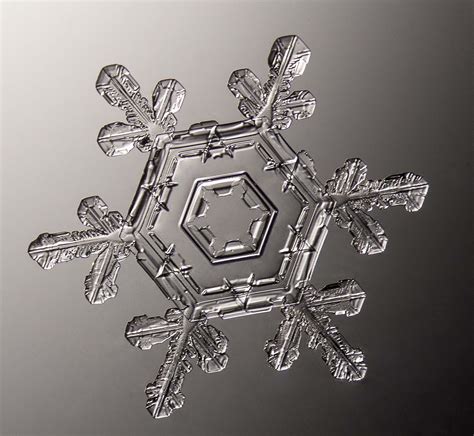 Get Up Close And Personal With Beautiful Snowflakes Time