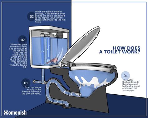 Parts Of A Toilet And How It Works 3 Detailed Diagrams Homenish