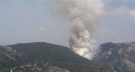 Check spelling or type a new query. Milas'ta orman yangını