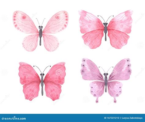 Pink Bright Watercolor Butterfly Stock Illustration Illustration Of