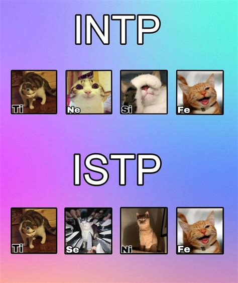 Istp Vs Istj Differences And Similarities Explained Artofit