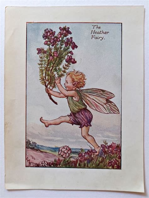 Heather Fairies Print Flower Fairy Prints