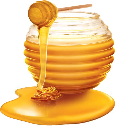 【蜂蜜png】精選38款蜂蜜png圖案素材下載，免費的蜂蜜去背點陣圖 天天瘋後製