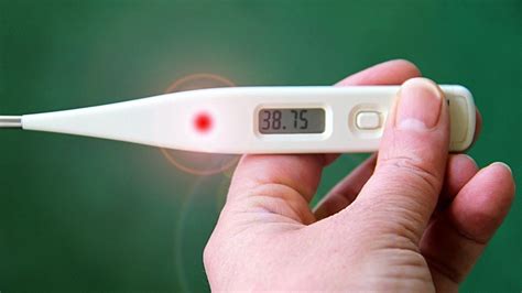 ¿cuál Es La Temperatura Normal Del Cuerpo Humano Telecinco