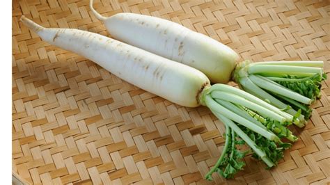 Radish Daikon Nutrition Facts Health Consumption And Recipes