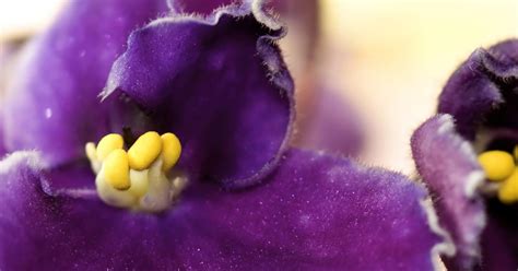 Ich will einzigartig für dich bleiben, so wie der siegelreif um deinen arm. liebe deinen garten
