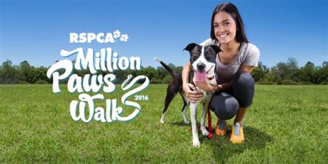 Rspca Million Paws Walk 2016 Jetpets Au Pet Travel Consultants