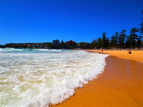 Manly Beach Sydney New South Wales Manly Beach Beach Manly Beach