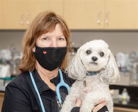 client forms chesapeake veterinary surgical specialists