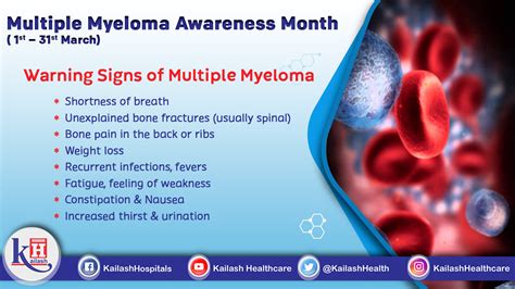 Multiple Myeloma Is A Cancer That Starts In The Bone Marrows Plasma
