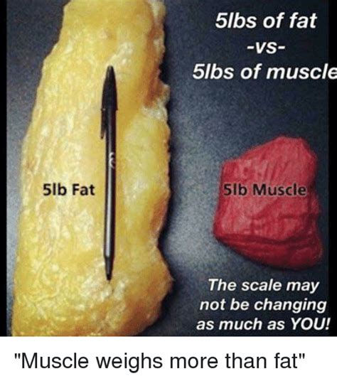 5lbs Of Fat Vs 5lbs Of Muscle 5lb Fat 51b Muscle The