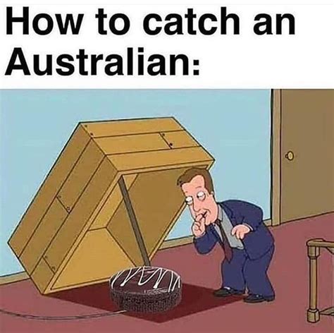 Australia Aussie Memes Australian Memes Australia Funny