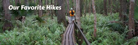 Florida Hikes Get Outdoors In Florida Your Guide To Floridas