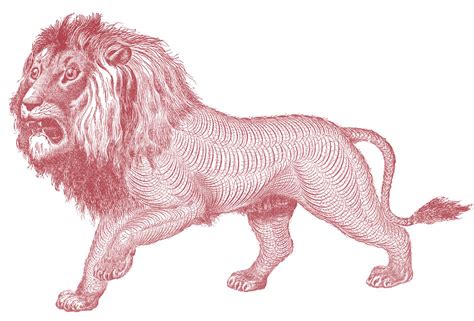 Free Antique Clip Art Pen Flourished Lion The Graphics Fairy