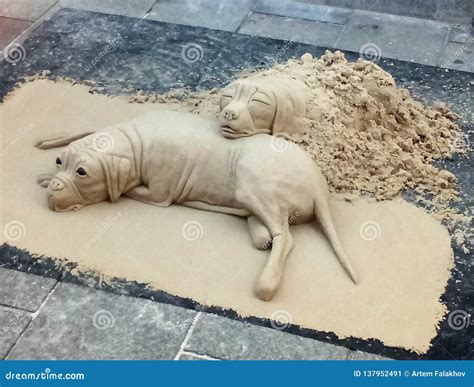Dogs From Sand Editorial Photo Image Of Pets Sand 137952491