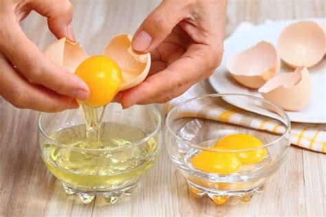 Although the acidic stomach of dogs can kill all such type of bacteria but slight sickness can be the result of eating infected raw eggs. Can Dogs Eat Raw Eggs? How to Prepare Eggs for Your Dog?