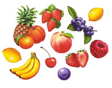 Tropical Fruit Drawing Image Clip Art Fruits And Vegetable Headdress