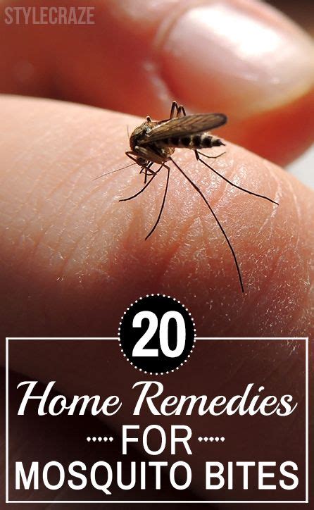 14 Best Homemade Mosquito Repellents That Really Work Bug Bites