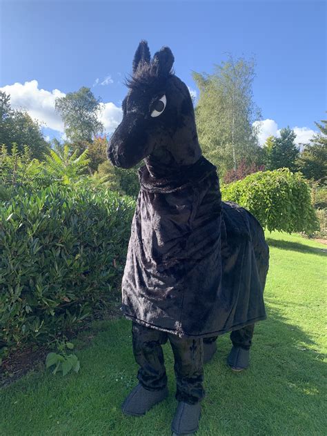 Black 2 Man Horse Costume Pantomime Horse Animal Fancy Dress