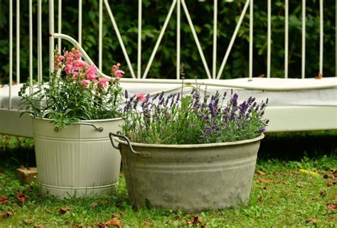 Container Gardening 101 Tips For Beginners Blog About Gardening