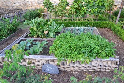 Vegetable Garden Layout Design Principles Ideas Gardening Tips