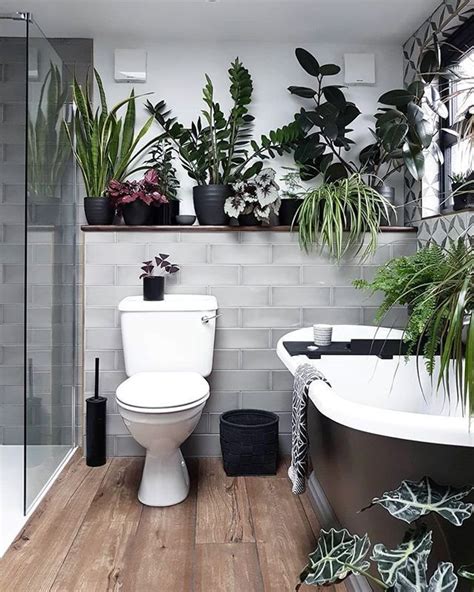 Do You Like Plants Would You Like To Decorate Your Bathroom But You Don