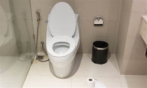 12 Different Types Of Toilet Seats Which Is Right For You