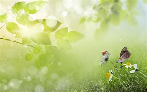 Natural Green Background Stock Photo By ©krivosheevv 90769040