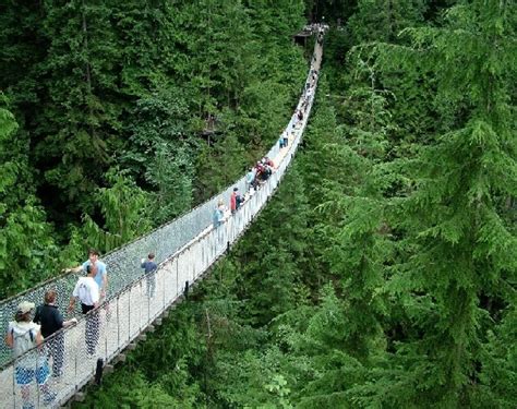 Capilano Suspension Bridge