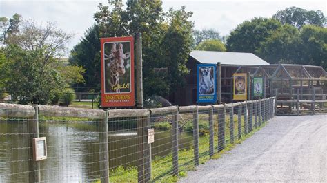 Animals Halifax Pa Lake Tobias Wildlife Park