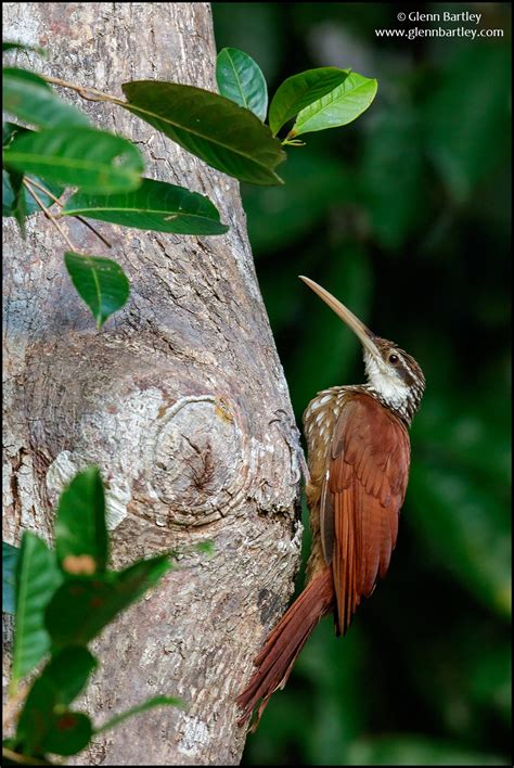 Glenn Bartley Nature Photography The Best Photos Of 2016